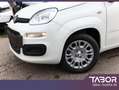 Fiat Panda MHEV 70 5"-DAB Temp PDC DigCo UVP-28%* Weiß - thumbnail 5