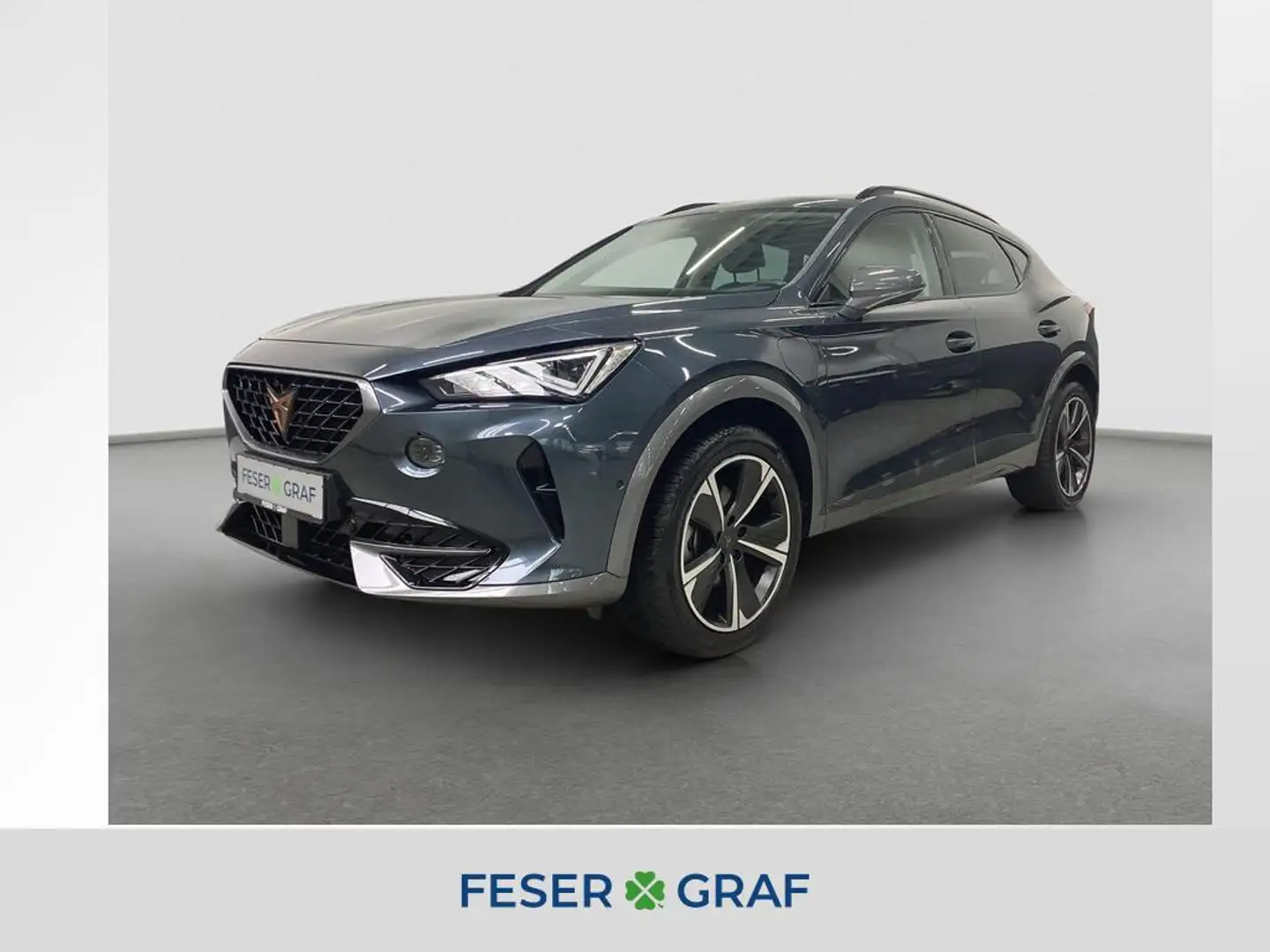 CUPRA Formentor 1.4 TSI e-HYBRID AHK ACC Keyless Navi Grau - 1