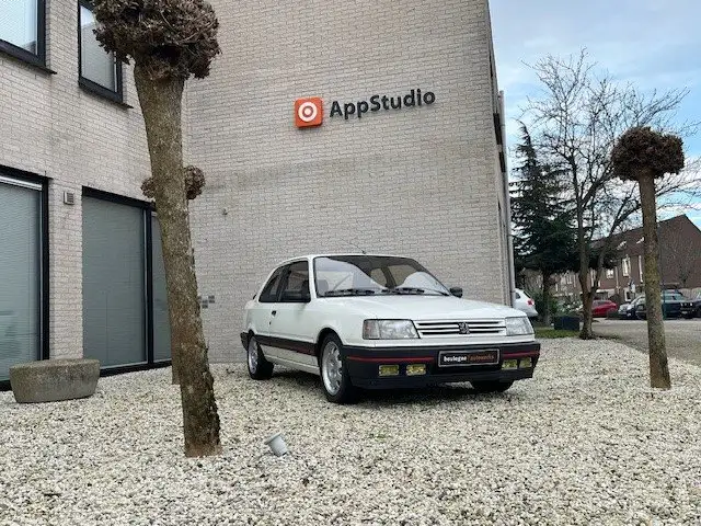 Peugeot 309 1.9 GTI
