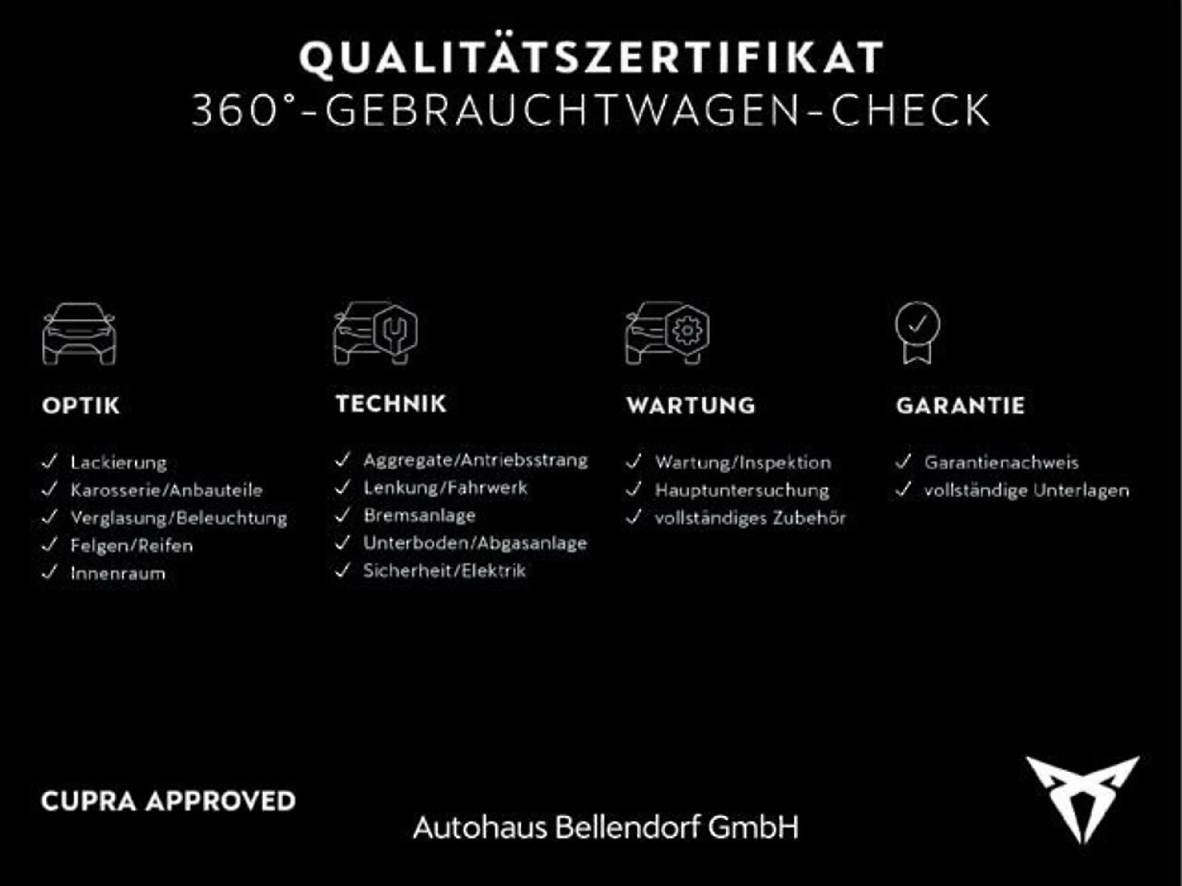 CUPRA Born VZ 79 kWh Wärmepumpe Navi Pilot M Tech L — photo 15