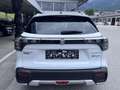 Suzuki S-Cross Flash Aut. Panorama AWD* Wit - thumbnail 6