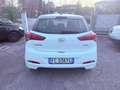 Hyundai i20 i20 II 2015 5p 1.2 Classic 75cv Weiß - thumbnail 7