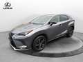 Lexus NX 300 NX 300 H Hybrid 4WD Premium Gris - thumbnail 2