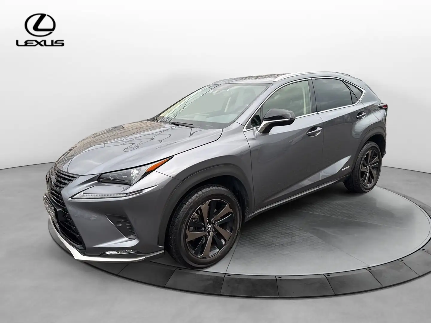 Lexus NX 300 NX 300 H Hybrid 4WD Premium Gris - 2