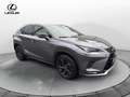 Lexus NX 300 NX 300 H Hybrid 4WD Premium Gris - thumbnail 8