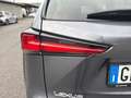 Lexus NX 300 NX 300 H Hybrid 4WD Premium Gris - thumbnail 10