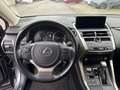 Lexus NX 300 NX 300 H Hybrid 4WD Premium Gris - thumbnail 20