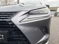 Lexus NX 300 NX 300 H Hybrid 4WD Premium Gris - thumbnail 9