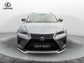Lexus NX 300 NX 300 H Hybrid 4WD Premium Gris - thumbnail 1