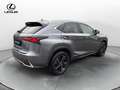 Lexus NX 300 NX 300 H Hybrid 4WD Premium Gris - thumbnail 6