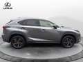 Lexus NX 300 NX 300 H Hybrid 4WD Premium Gris - thumbnail 7