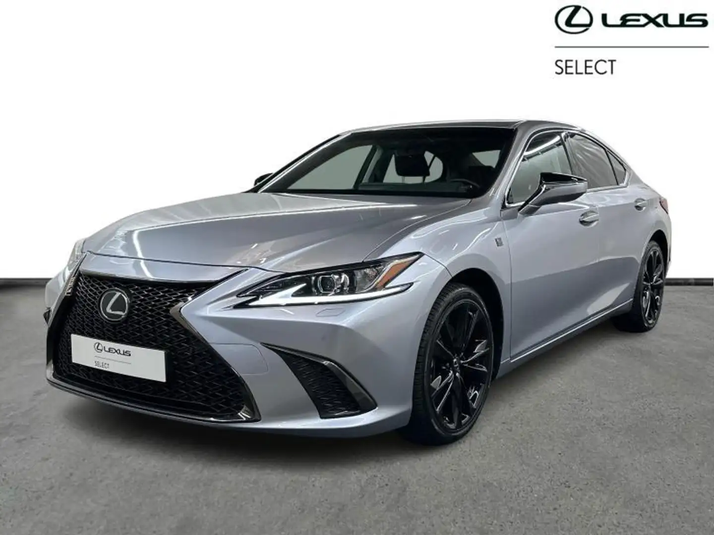 Lexus ES 300 F SPORT Design Gris - 1