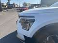 Kia Niro NIRO EV Wit - thumbnail 12