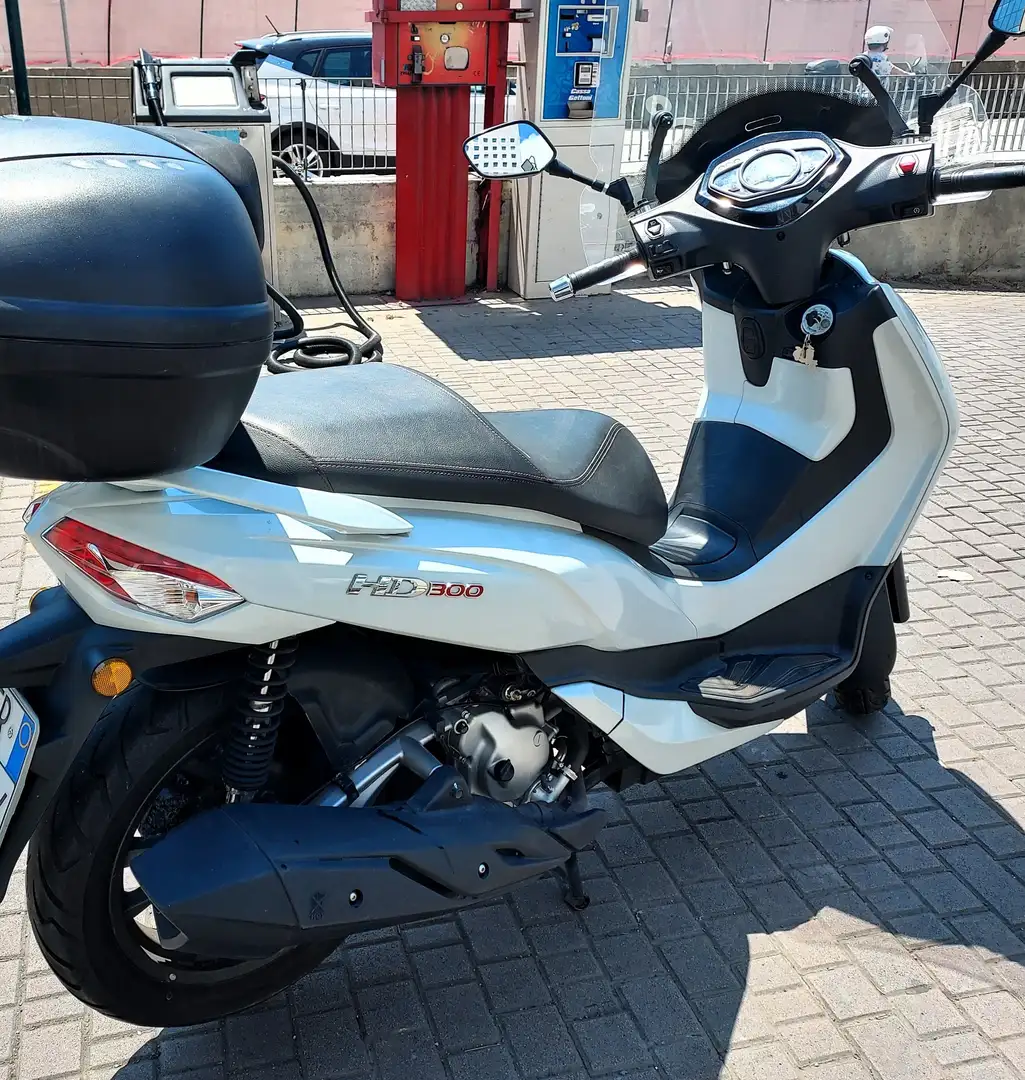 SYM HD 300 abs euro4 Blanc - 2