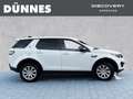 Land Rover Discovery Sport TD4 Pure Automatik Bílá - thumbnail 6