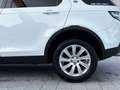 Land Rover Discovery Sport TD4 Pure Automatik Bílá - thumbnail 9