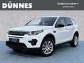 Land Rover Discovery Sport TD4 Pure Automatik Bílá - thumbnail 1