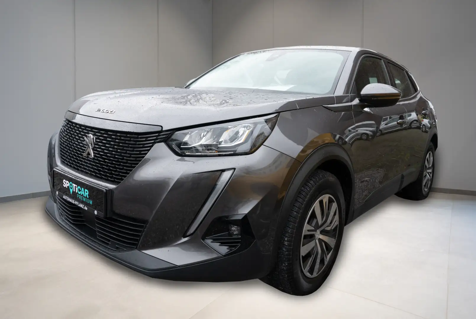 Peugeot 2008 Active 1.2 PureTech 100 Gris - 1