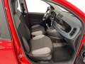 Fiat Panda 1.0 FireFly S&S Hybrid Rosso - thumbnail 6
