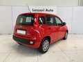 Fiat Panda 1.0 FireFly S&S Hybrid Rosso - thumbnail 4