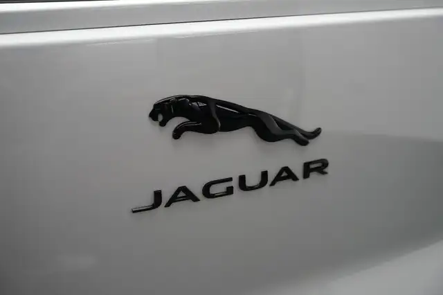 Jaguar I-Pace view 15