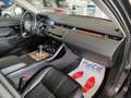 Land Rover Range Rover Evoque 2.0 I4 S 200cv MHEV AWD Navi Cruise Pelle Fari LED Grijs - thumbnail 36