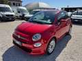 Fiat 500 500 III 1.0 hybrid Cult 70cv Rouge - thumbnail 3