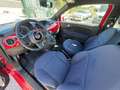 Fiat 500 500 III 1.0 hybrid Cult 70cv Rouge - thumbnail 13