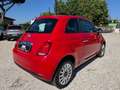 Fiat 500 500 III 1.0 hybrid Cult 70cv Rouge - thumbnail 9