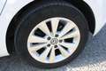 Volkswagen Golf Golf 5p 1.6 tdi (btdi) Comfortline 110cv Bianco - thumbnail 7
