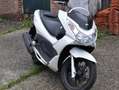 Honda PCX 125 pcx Wit - thumbnail 2