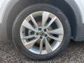 Volkswagen T-Cross Life TSI DSG|ACC|SITZHEIZUNG|17"|CLIMATR Silber - thumbnail 7
