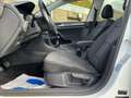 Volkswagen Golf 1.0 TSI Panoramadak Carplay ACC Viritual dash Weiß - thumbnail 5