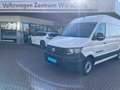 Volkswagen Crafter 35 Kasten L2H2/ Bluetooth, App, AHK, RFK Weiß - thumbnail 3