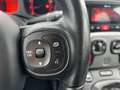 Fiat New Panda Lounge 1.2 8V 51kW PDC+DAB+Klima Grijs - thumbnail 13