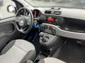 Fiat New Panda Lounge 1.2 8V 51kW PDC+DAB+Klima Grijs - thumbnail 15