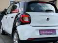 smart forFour Smart Forfour edition1, Sportpaket, Erst 52.622 km Schwarz - thumbnail 42