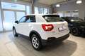 Audi Q2 35 TFSI*Sitzheizung*Car-Play Navi* Blanc - thumbnail 3
