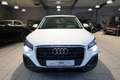Audi Q2 35 TFSI*Sitzheizung*Car-Play Navi* Blanc - thumbnail 9