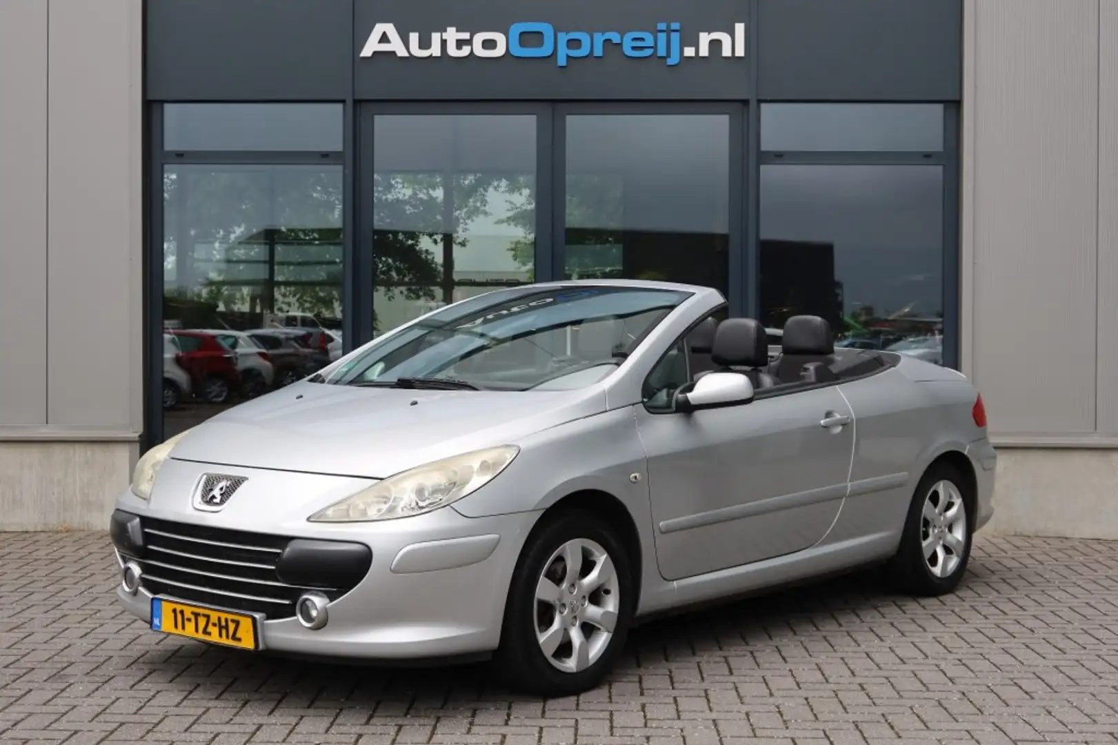 Peugeot 307 307cc 2.0-16V XS Clima, Half Leder Grijs - 1
