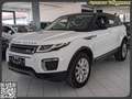 Land Rover Range Rover Evoque 2.0 Sd4 Automatik KETTE  NEU White - thumbnail 1