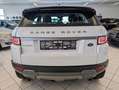 Land Rover Range Rover Evoque 2.0 Sd4 Automatik KETTE  NEU White - thumbnail 9