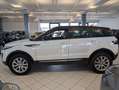 Land Rover Range Rover Evoque 2.0 Sd4 Automatik KETTE  NEU White - thumbnail 7