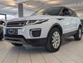Land Rover Range Rover Evoque 2.0 Sd4 Automatik KETTE  NEU White - thumbnail 6