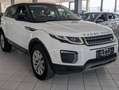 Land Rover Range Rover Evoque 2.0 Sd4 Automatik KETTE  NEU White - thumbnail 4