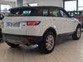 Land Rover Range Rover Evoque 2.0 Sd4 Automatik KETTE  NEU White - thumbnail 10