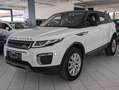 Land Rover Range Rover Evoque 2.0 Sd4 Automatik KETTE  NEU White - thumbnail 2