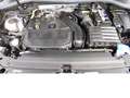 Volkswagen Tiguan 1.5 Basis TSI BMT Klima Radio Blau - thumbnail 14