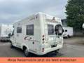 Fleurette LE Chipeau 3--4X4 Allrad-Solar AHG-Klima - thumbnail 6