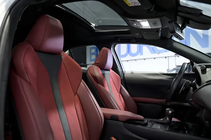 Lexus UX 250h F SPORT 2022, foto 37